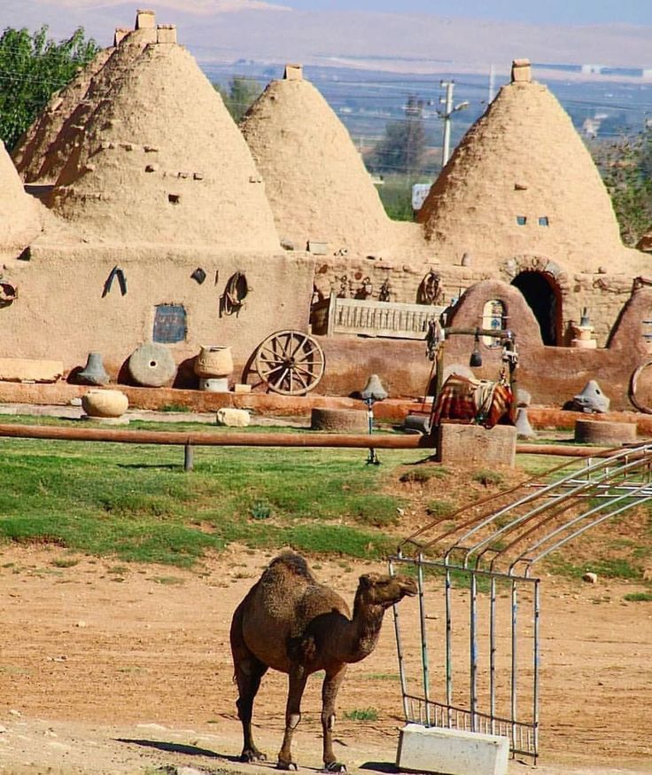 Şanlıurfa - Balıklıgöl - GöbekliTepe - Karahantepe Turu