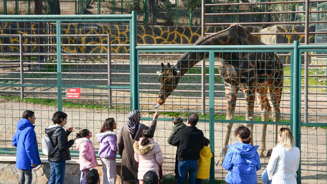 Gaziantep - Halfeti - Hayvanat Bahçesi